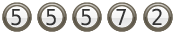 contatori per siti web